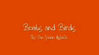 boats and birds