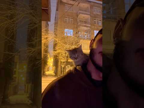 ضل شوي نوصل مليون تابعونا 🥺❤️ #روناس #اكسبلور #الظروف #روناس_والقطط #اهميه #قطط #النظافه #اعتني