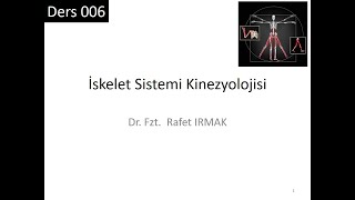 Kinezyoloji 01 Ders 006 İskelet Siteminin Kinezyolojisi