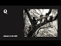 Queens of the Stone Age - Someone's in the Wolf live @ Reading Festival 2008 [Audio]