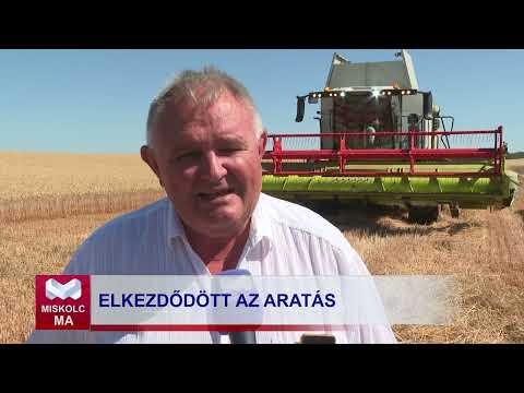 Videó előnézet