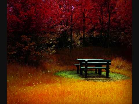 Foyle & Sparx - Chords Of Life w/ Sean Tyas and Simon Patterson - For The Most Part HD