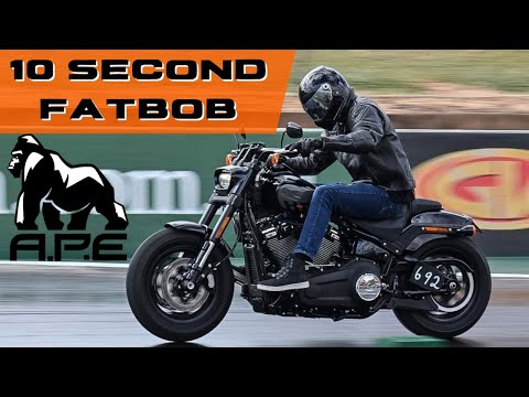 150hp Fatbob / 128ci Alpha Performance Engines