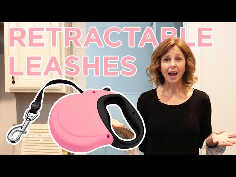 How to Use a Retractable Leash Safely