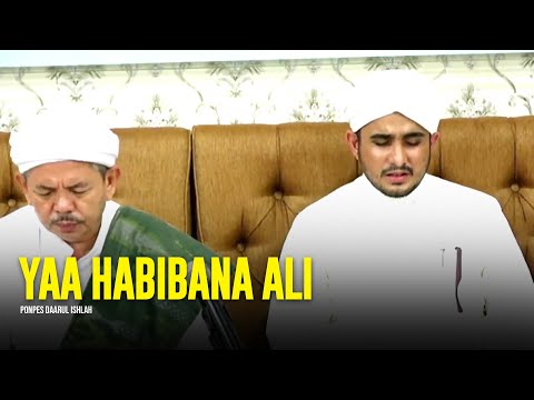 Versi Terbaru ‼️ Yaa Habibana Ali Syailillah - Ponpes Daarul Ishlah | Lirik & Terjemah