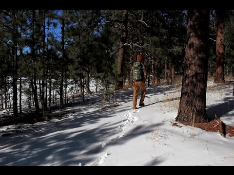 Setting Mule Deer Antler Traps