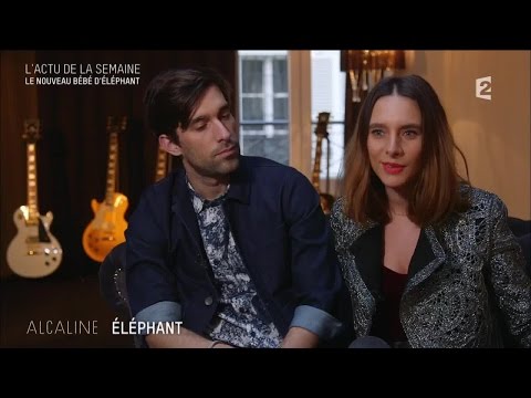 Alcaline, le Mag : Les news avec Alex Beaupain, Éléphant...