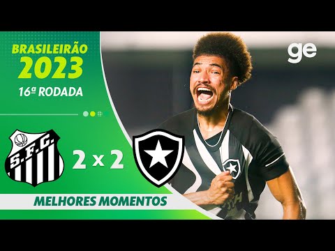 Gols e lances de Santos x Botafogo