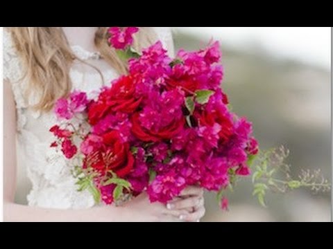 download lagu mp3 mp4 Bougainvillea Wedding Flowers, download lagu Bougainvillea Wedding Flowers gratis, unduh video klip Bougainvillea Wedding Flowers
