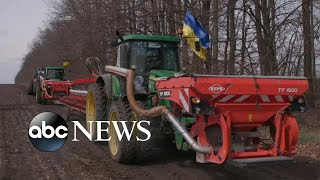 Ukraine’s farmers persevere as war threatens global food supply
