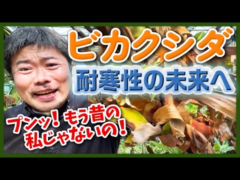 耐寒性の花: 冬でも外にいても大丈夫な植物はどれですか?  庭園