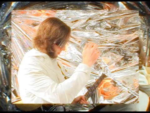 The Messenger Birds - FAKE LIVES (Official Music Video)