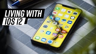 iOS 12 One Month Later - Should You Install the Beta?