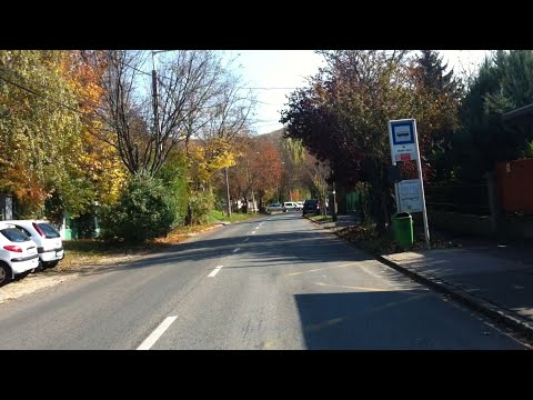 Budapest 157-es járat; Budaliget, Géza fejedelem útja - Hűvösvölgy