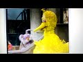 Sesame Street Big Bird Listens Part 3