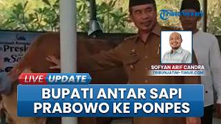 Sapi Kurban 1,1 Ton Bantuan Presiden Prabowo Diserahkan Bupati Madiun ke Ponpes Naqsabandiyah