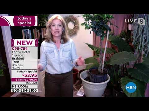 HSN | Shannon's In The House! 03.12.2021 - 07 PM