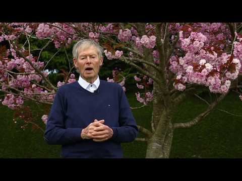Keeping strong and steady at home with the ISCP and Mícheál Ó Muircheartaigh part 1
