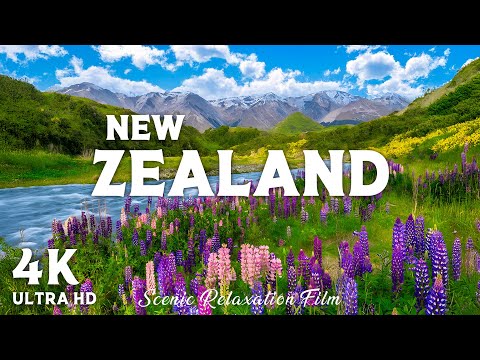 New Zealand 4K UHD  – Nature Relaxation Film with Calming Cinematic Music