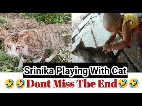 Srinika Playing With Big Cat || #Dont_Miss_End 🤣🤣🤣|| #DearSrinika