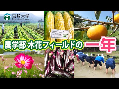 農学部 木花フィールドの一年