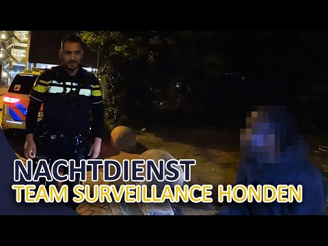 Politie Team Surveillance Honden | Nachtdienst in Eindhoven en omgeving
