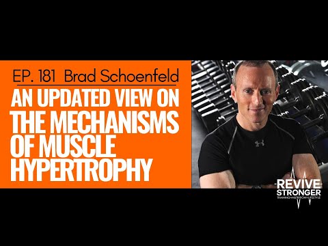181: Brad Schoenfeld - An updated view on the mechanisms of muscle hypertrophy
