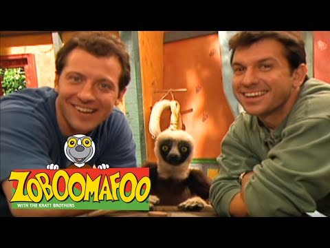 Zoboomafoo 102 - Eye Spy (Full Episode)