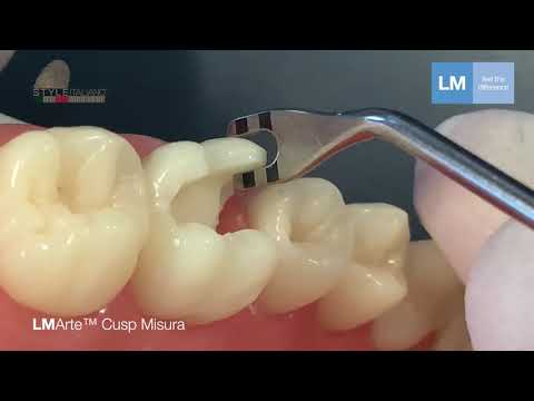 LM Arte™ Cusp Misura   Evaluate explicitly