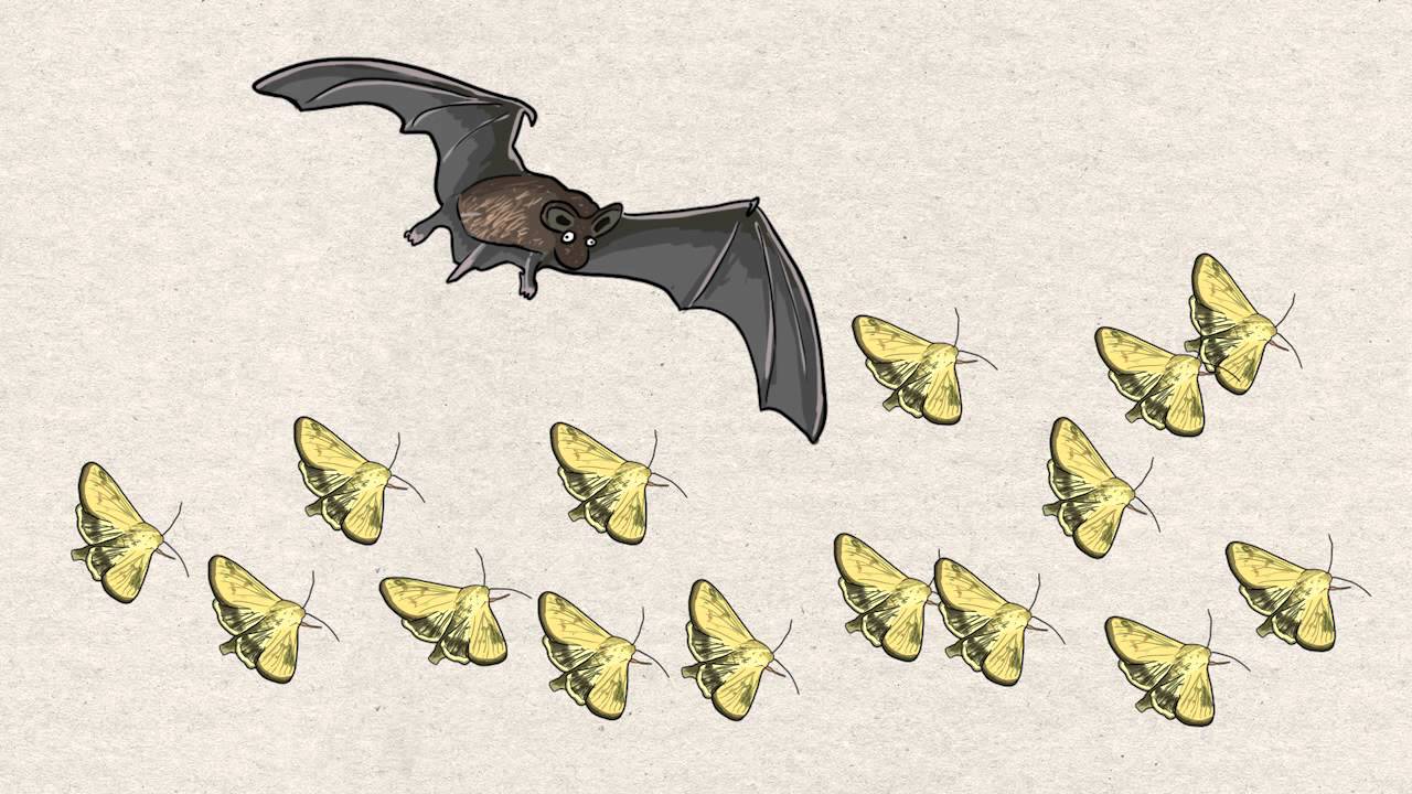 Valuation of Ecosystem Services: Avoided Cost Method