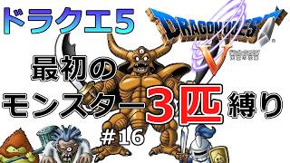 【ドラクエ5】仲間になった順モンスター3匹縛りで裏ボスエスターク撃破を目指すゲーム実況#16 隠しダンジョンのエスターク【スーパーファミコン版ドラゴンクエストV・レトロゲーム実況】