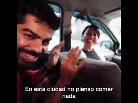 Joe Hattab libera  gatos en mercado de mandado viral