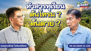 ทำสารทุเรียน ต้นโทรม? ต้นตาย? | 