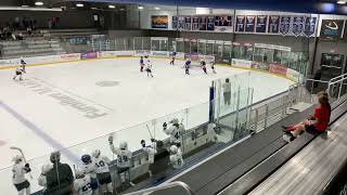 Game 4 (Sioux Falls): Griffin scores assisted by Holden