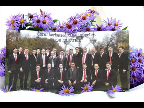 Corul bărbătesc ELIM Bruxelles - Nu te teme
