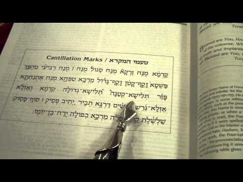 Trope Trop Cantillations Marks for Torah Readings Ashkenaz טעמי המקרא הגייתם וניגונם נוסח אשכנז