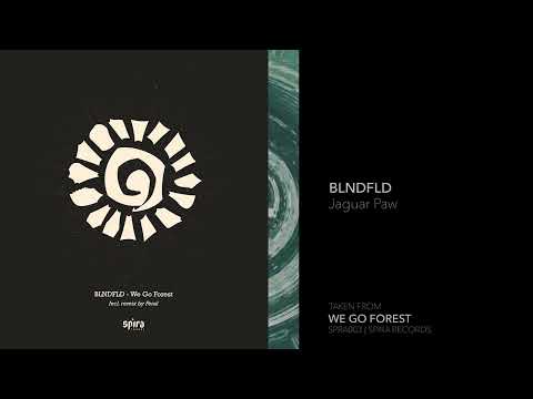 Indefinite Pitch PREMIERES. BLNDFLD - Jaguar Paw [Spira Records]