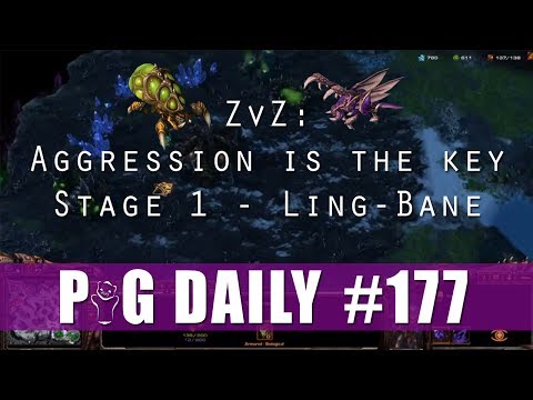 ZvZ - Aggression is the Key - Stage 1 - Ling-Bane - The PiG Daily #177