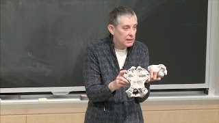 1. Introduction and Overview