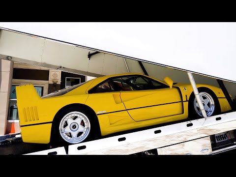 I Bought a Yellow F40! | Collecting the Big Five in Yellow (3/5) | Ferrari Collector David Lee