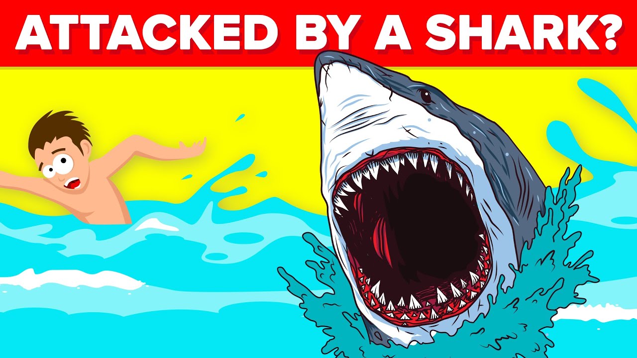Do These Things To Survive A Shark Attack