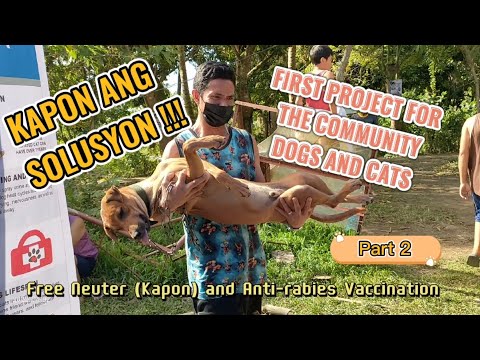 Part 2| Kapon ang Solusyon | First project for the community dogs and cats