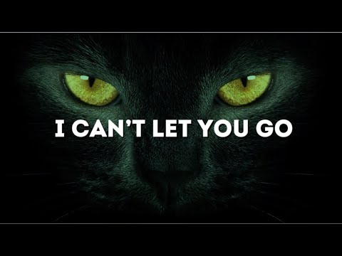 Critto – Can’t Let You Go