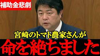 【国民・長友慎治】国の補助金返済に追い込まれたトマト農家の悲劇とは【2026年4月14日衆議院農林水産委員会】