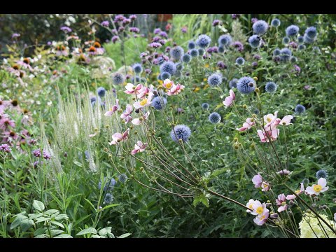 Visszatekintő, 2025 májusa 5.  rész