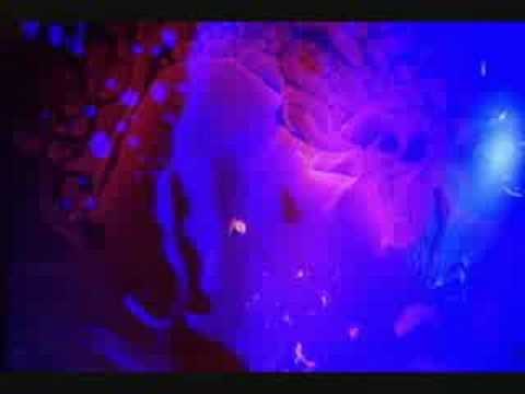 Witthüser & Westrupp - Laßt uns auf die Reise gehn