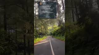 Download lagu status wa #status #storywa #statuswhatsapp #dennycaknan #happyasmara #nopeknovian #livyrenata mp3 Download lagu status wa #status #storywa #statuswhatsapp #dennycaknan #happyasmara #nopeknovian #livyrenata mp3