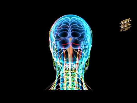 Bruce Leroys - Inside My Brain - Unreleased