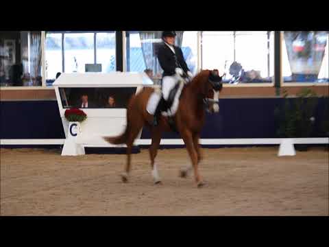 Indoor oosteind 2017