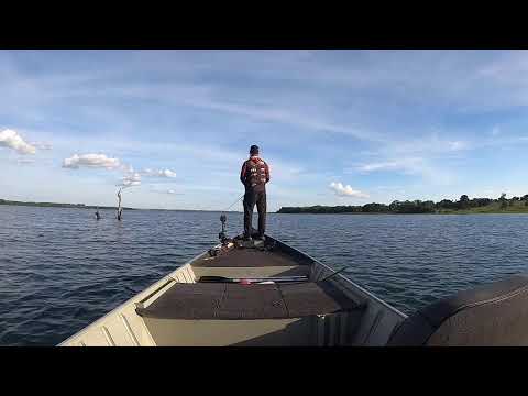 1º etapa Tucuna free Selection